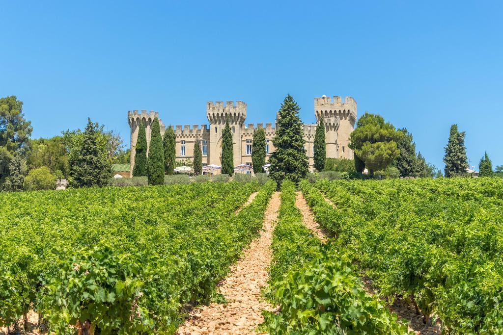 Hostellerie Du Chateau Des Fines Roches Châteauneuf-du-Pape المظهر الخارجي الصورة
