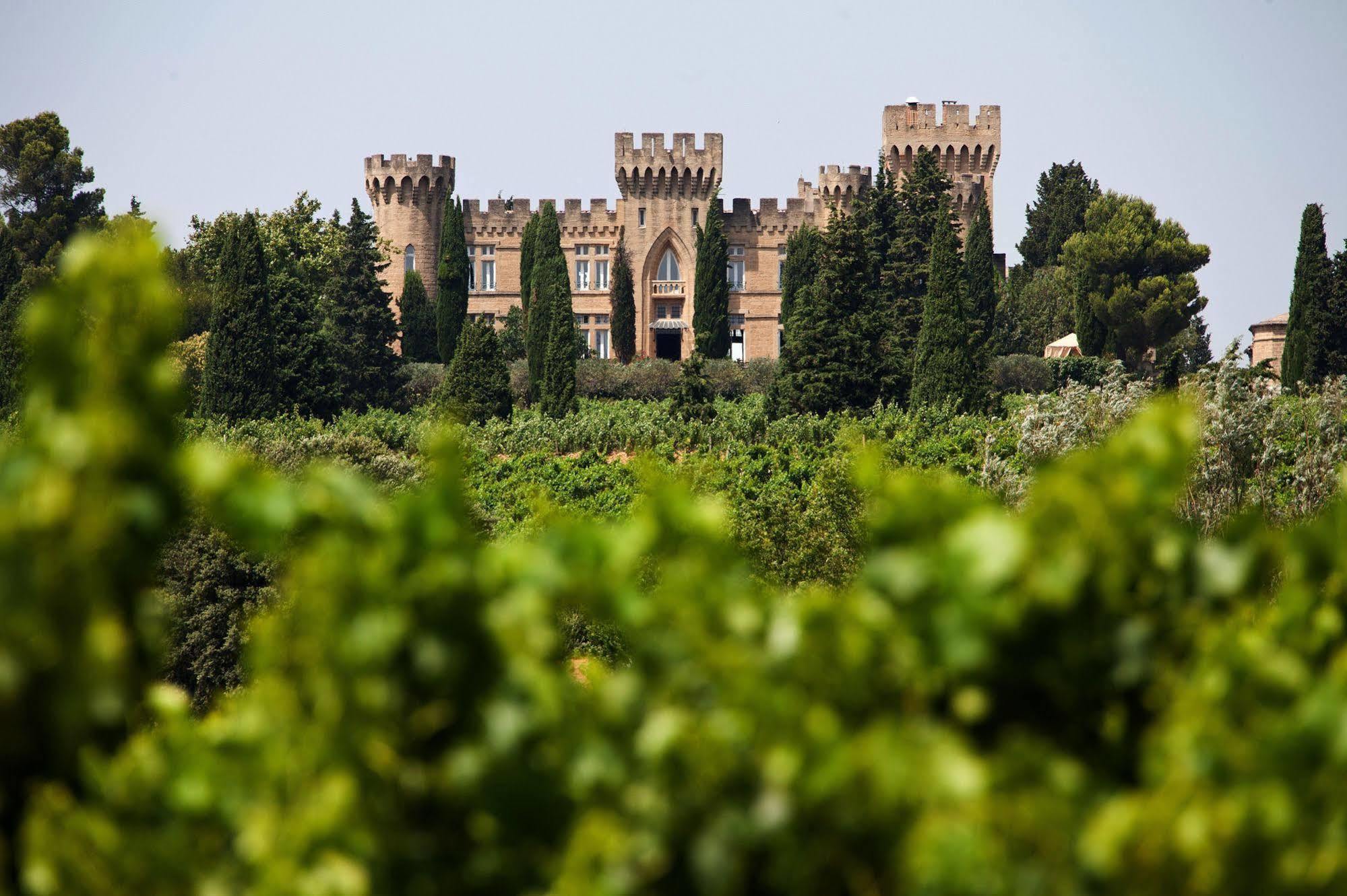 Hostellerie Du Chateau Des Fines Roches Châteauneuf-du-Pape المظهر الخارجي الصورة