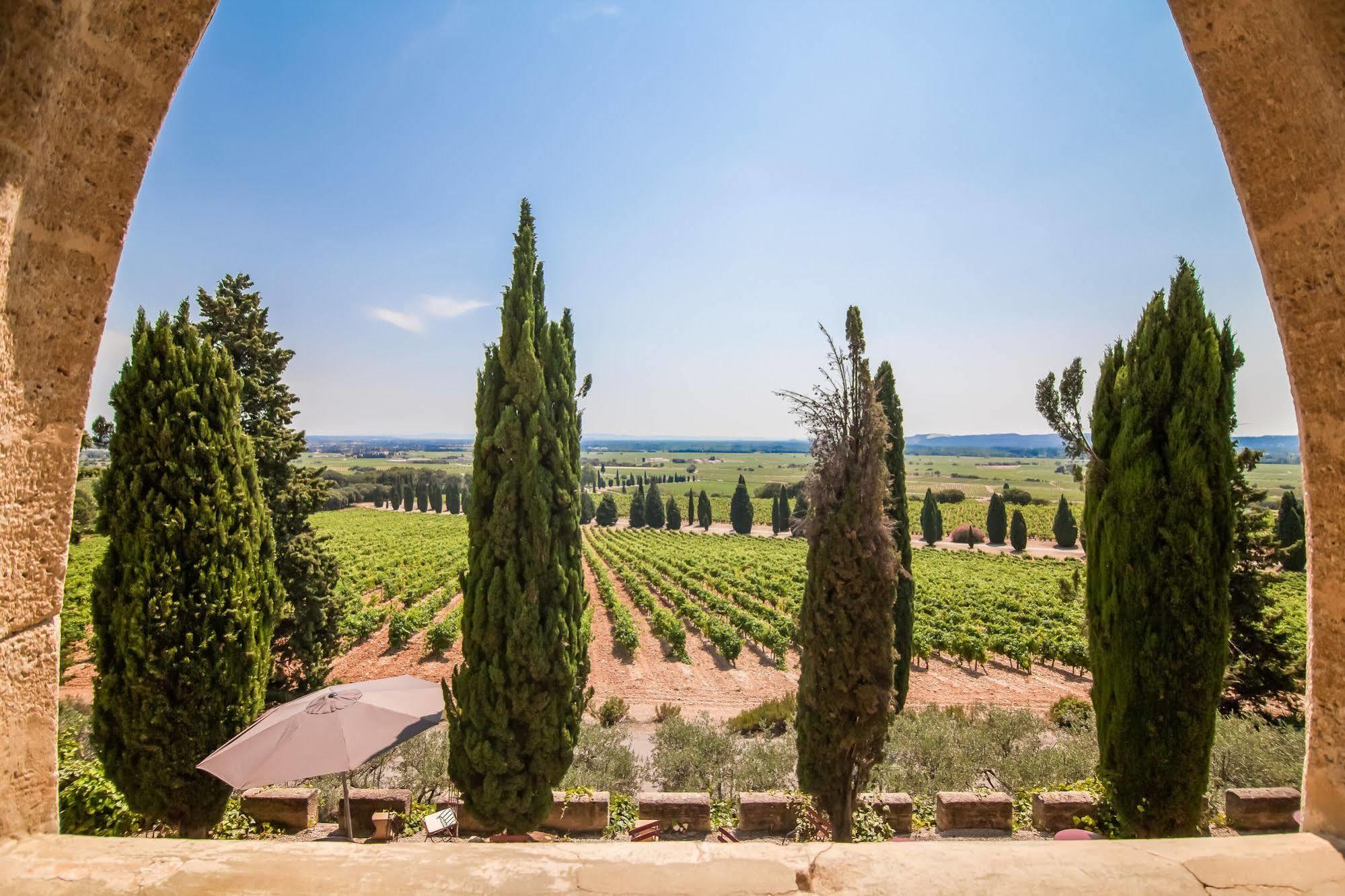 Hostellerie Du Chateau Des Fines Roches Châteauneuf-du-Pape المظهر الخارجي الصورة